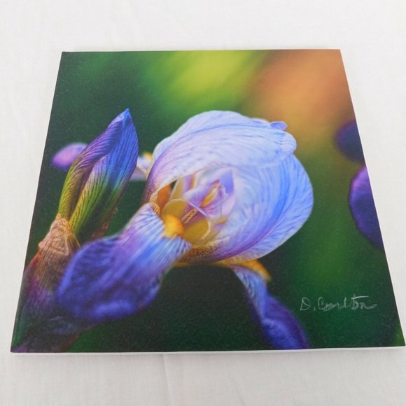 Purple Iris Flower Color Photography Lot of 4 Print Foam Board Botanical Nature - Picture 6 of 7